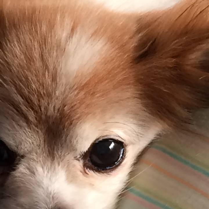 23079570 db74 454e a87b e70955d12aec 1594617474424