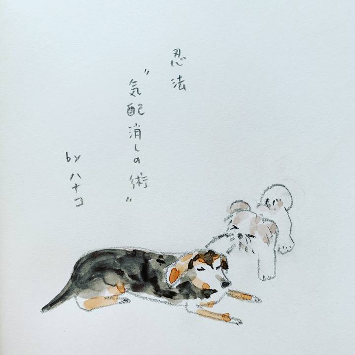 2307b8e5 150b 4fa2 ab11 0a71a9d61a1c 1603517422490