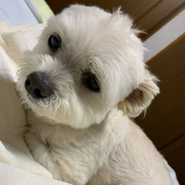 2307c249 43e9 436f a20d d8797c41e7ac 1588940467514