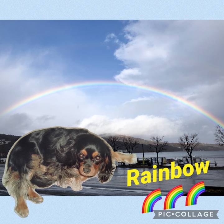 2307d5c3 0f79 4b8b 92eb f18537bbb0dd 1613373954537