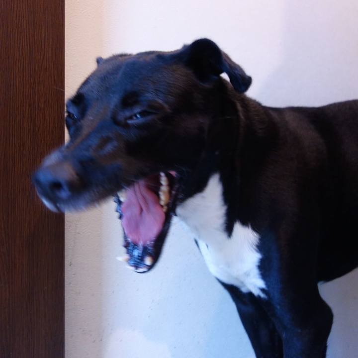 2307e087 bd52 4e09 a591 55fd23c93064 1594337775885