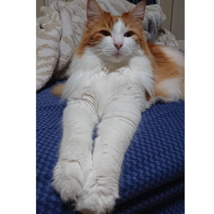 230847b8 bb54 4155 ae39 7fd8f2643038 1556445795880