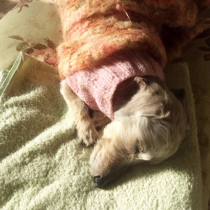 23084e56 9574 4b7e b92d bf3607fc89dd 1517280880778