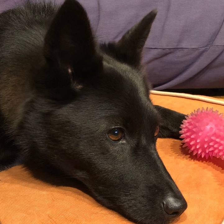 23085d66 309b 4b4d b1bb dde5f5280821 1558702072177