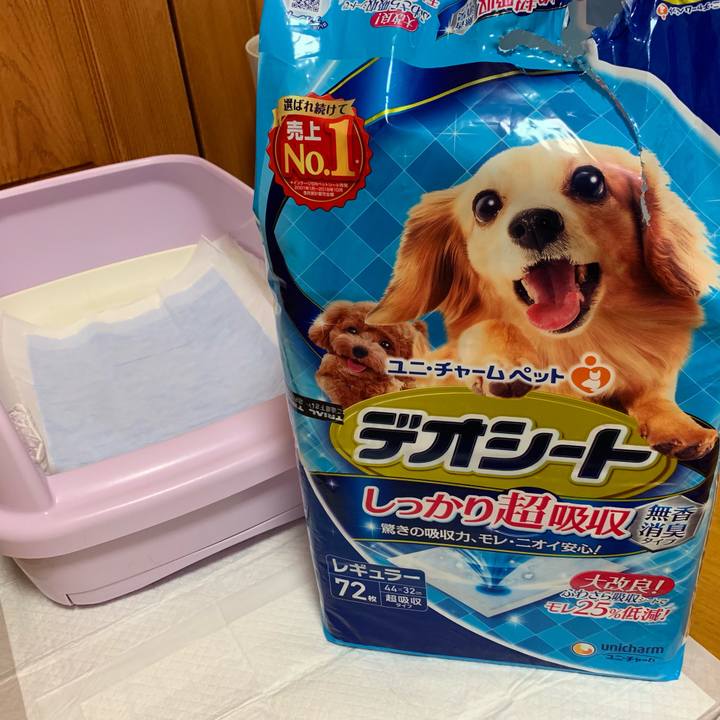 23086473 2326 476b b23e 5cae1aa29379 1567595111417