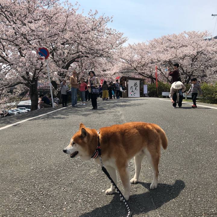 23086828 e475 4a1e a41a 2380619efc35 1554686117889