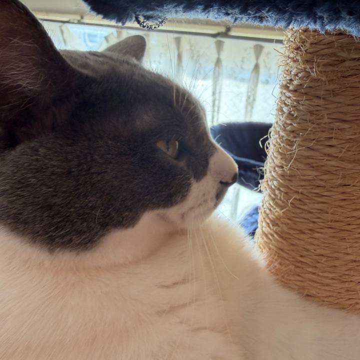 23086bf1 aa72 4f7e 8219 b68d35addb61 1763946084776