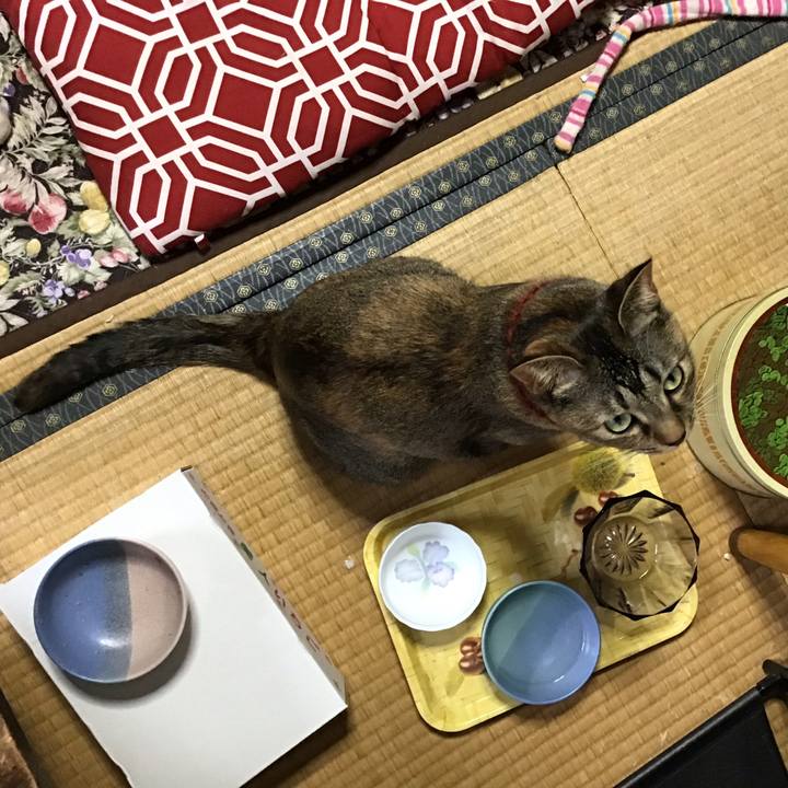 2308981e 3cf4 4c7f 8c84 12add44c4d62 1639093856484