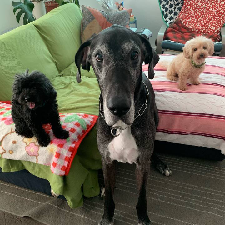 23089bbb 55fe 4a70 bbf4 7e8b087a9d8d 1597098500613