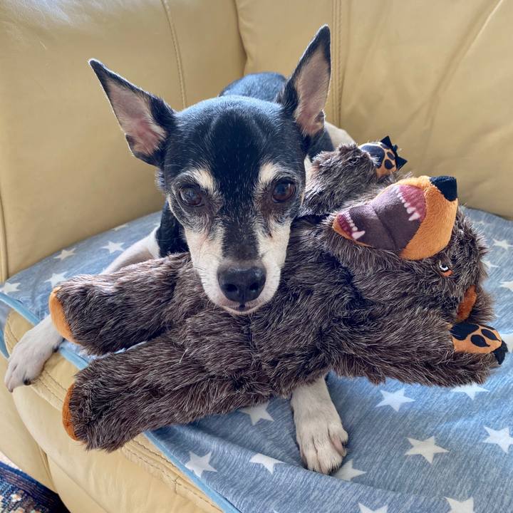 2308a3fb f1ff 4e36 9f1f 91f60e14c50c 1593920573414