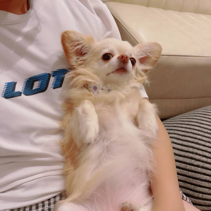 2308aaca 8467 446c ac17 6e0f3571019f 1751450838664