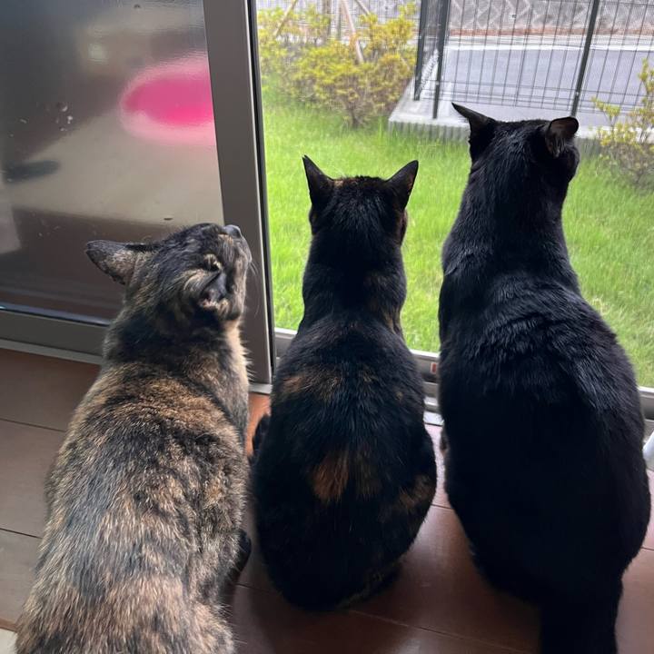 2308bf3e b9eb 4443 81d5 d088f42689a7 1690878246540