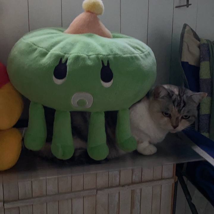 2308f9d9 f81e 4ffc ba50 3897a53495b8 1667943935384