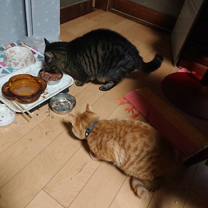 2309bccf ff3a 46f2 87dc 5b67493ba503 1638651153886