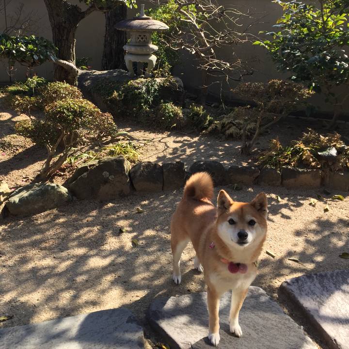 2309c820 cc67 4768 9e5c dbe97b07ca35 1521007737772