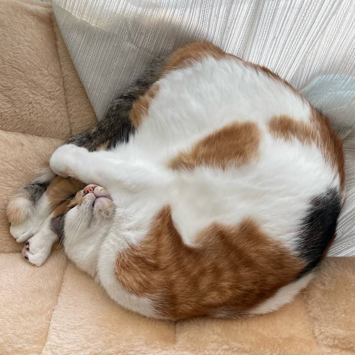 230a181f 7721 4a57 a36f e3dcd94fdada 1728617779834