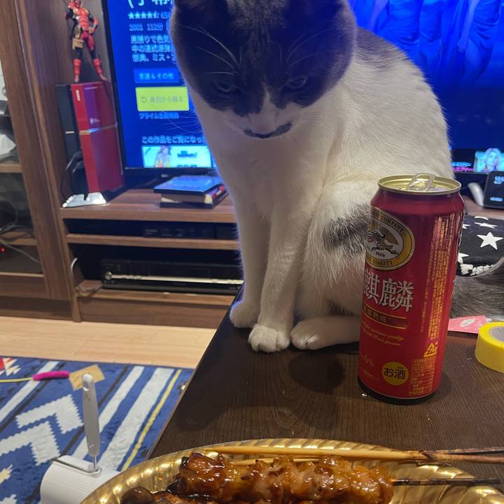 230a2a89 371b 48e7 981f 9ef813446980 1626530291208