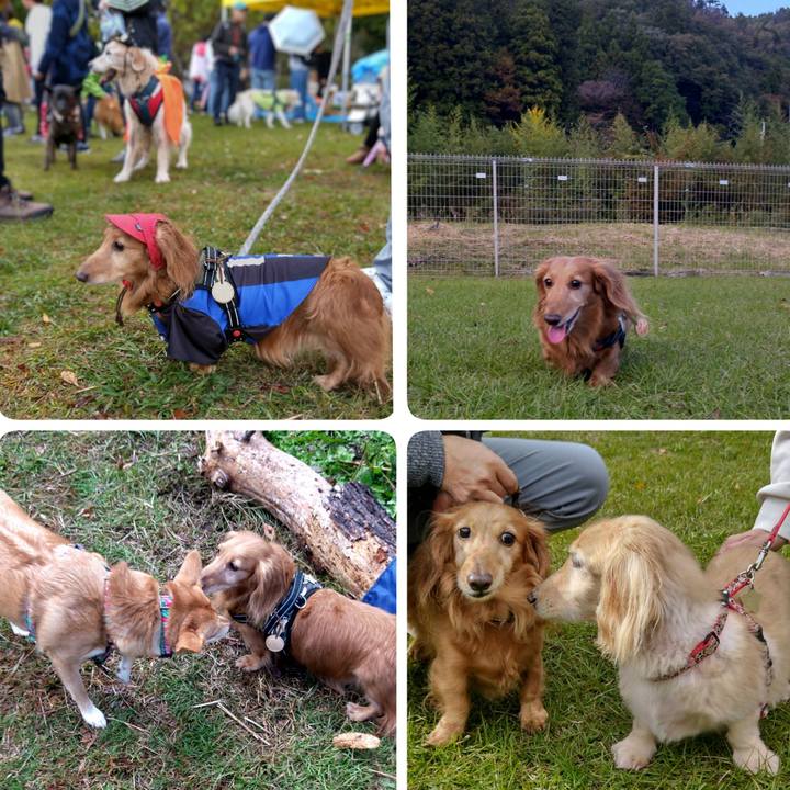 230a45b3 95e7 43aa a9cb c7bfb06fb331 1698667494101