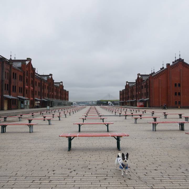 230a4b93 11a0 4081 9525 d2ef1d728fd1 1593080095277