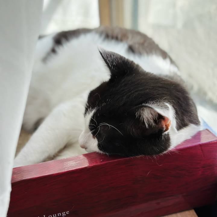 230a5b5b 8147 4008 b9c5 63957e130a71 1669511335319