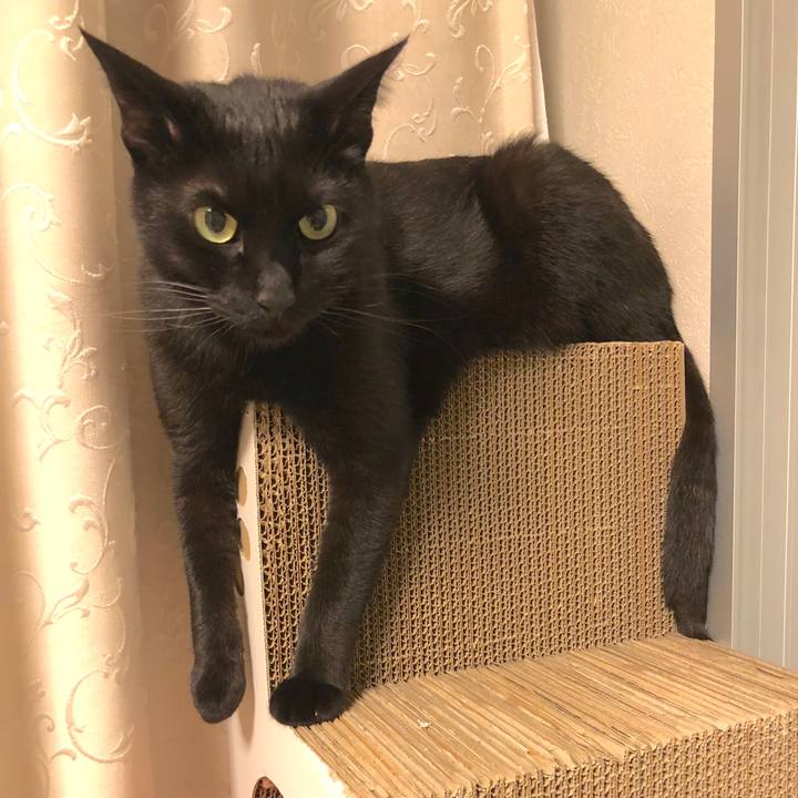 230a634d d1b5 449e 8fa9 df3c20308a6f 1522674150342