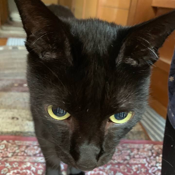 230a73b9 08c2 44a0 8232 13294b30e6d0 1539998931948