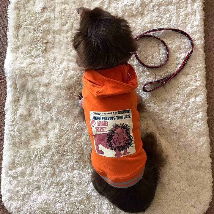 230ab013 ec20 4aa4 ba15 9d2027d78402 1552793007762