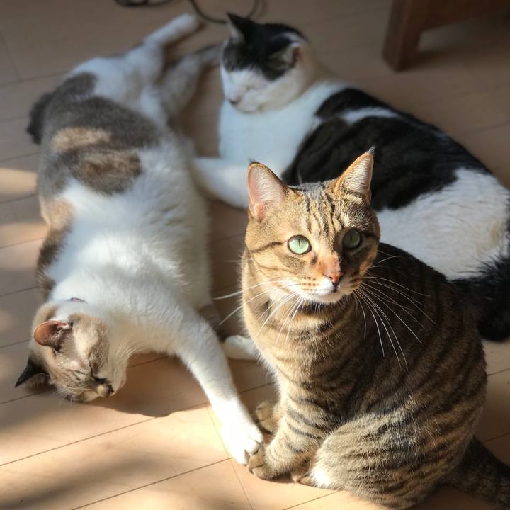 230aea5f b125 4faa 94ca 20d045837aae 1508995486978