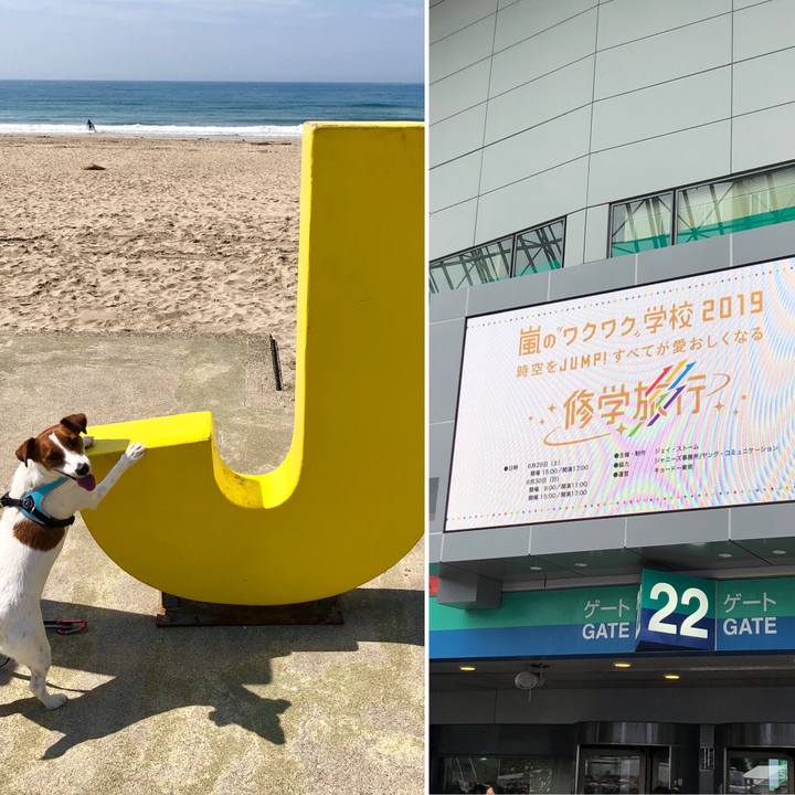 230b036f ac60 4b05 9297 7b00e40bafeb 1561886789124