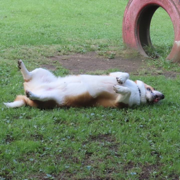 230b375f 1d8f 47d5 b7aa 77a986b979b3 1693366798380