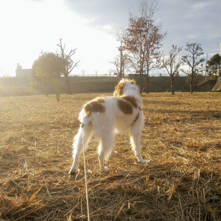 230b4238 3d60 4906 b8fa 00e1a567c40e 1548770960632