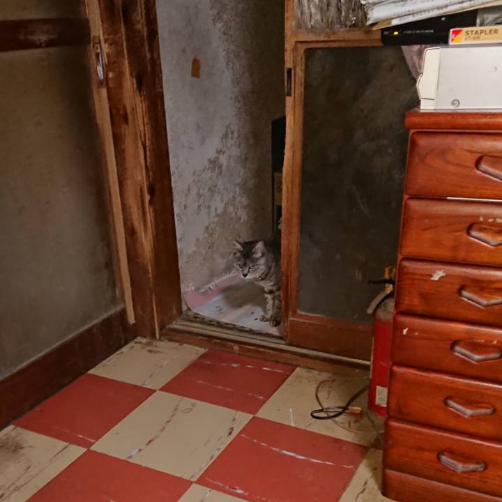 230b9454 007e 4b79 9d67 59c3b1c3845b 1588190320792