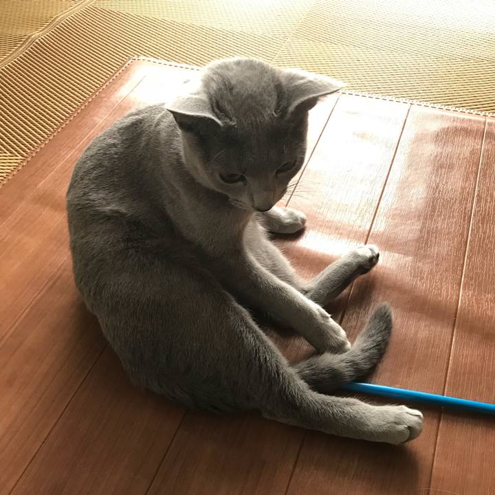 230babfc ca5d 4fb7 a792 e22ebc920875 1519622766993