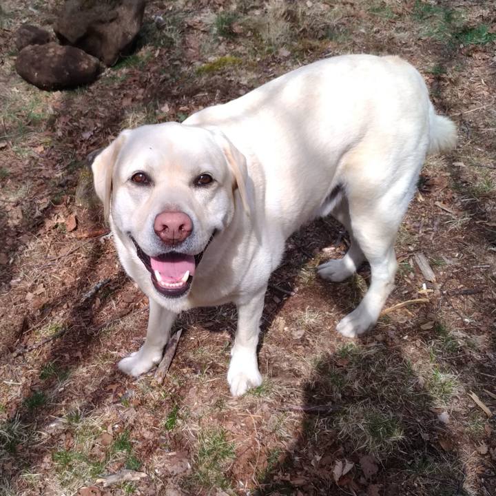 230bd638 b44f 467b 8396 c9d20587473c 1620121842565