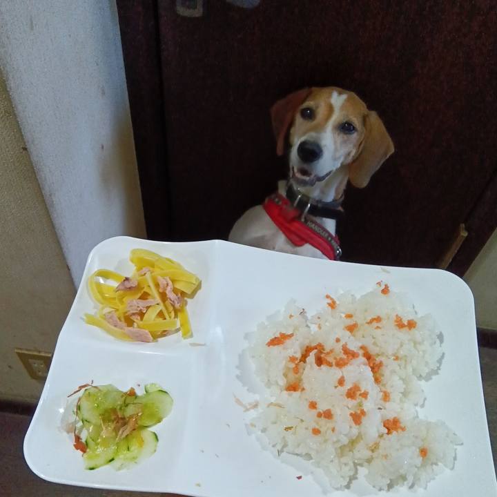 230c2dd6 2dbc 4b30 8672 892672c45c08 1726316407516