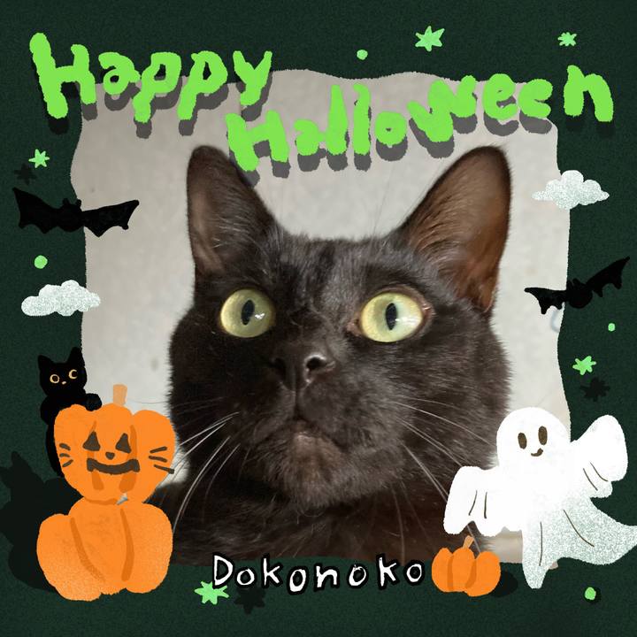 230c34e2 6758 48c0 83b7 752212de27a7 1729059969663