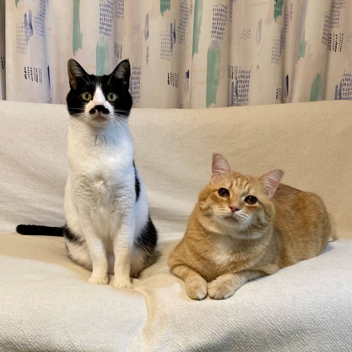 230c55da 37e7 4571 8259 47957f59c070 1767789910236