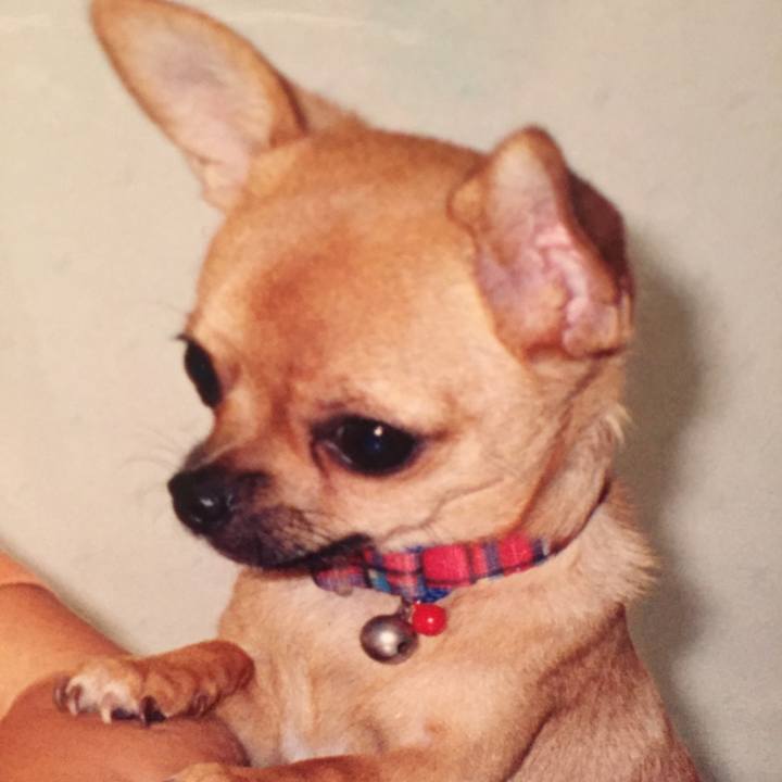 230c5d41 b332 44b4 befc 26c209f73a62 1584407267607