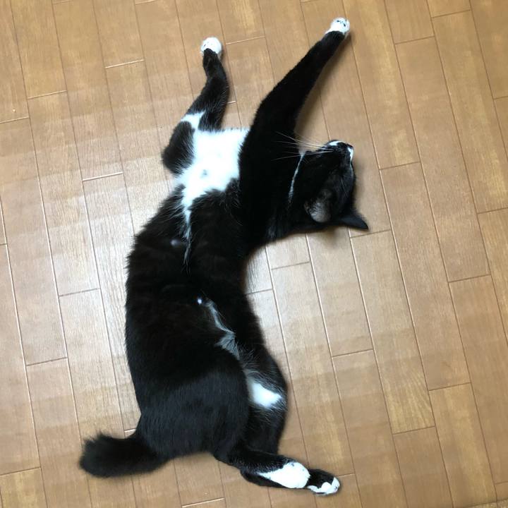 230c81ac 3586 401d 8135 92581737680e 1599104943340