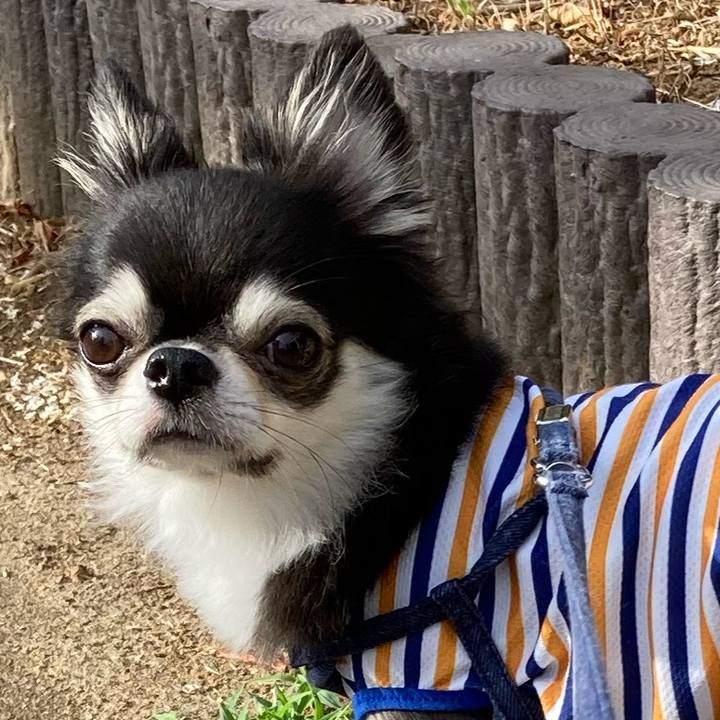 230c8fdd 7853 4717 8848 b608b430d6ee 1691768033160