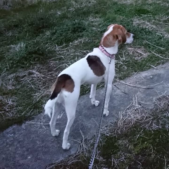 230c965e 83be 4dc8 8fe8 76bdd58216cd 1579084392434