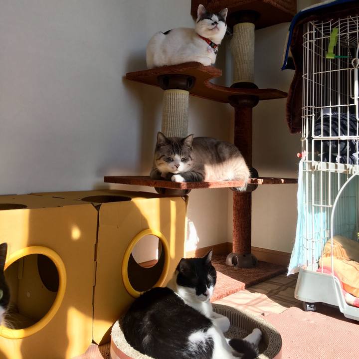 230c9883 8acb 4eb4 94f5 998b5d601e1d 1515717492913