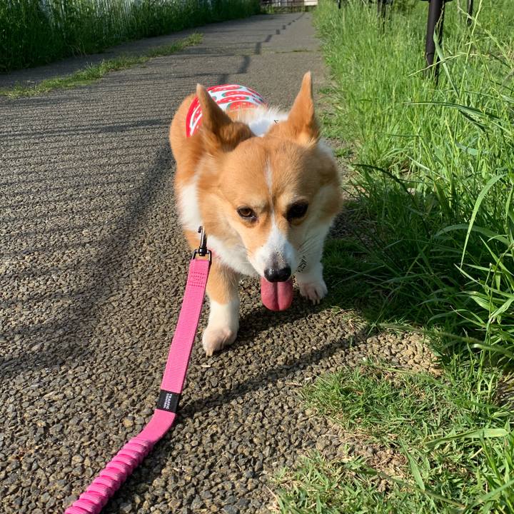 230cc034 cdee 48e5 830a 50a5b42b590e 1590273954681