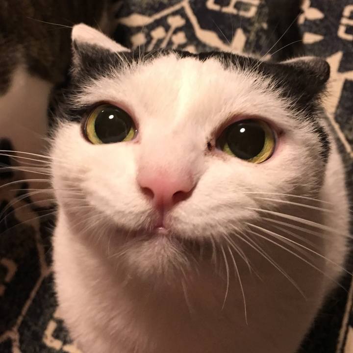 230cd0eb 4732 4870 8b72 84031e184879 1551492301270