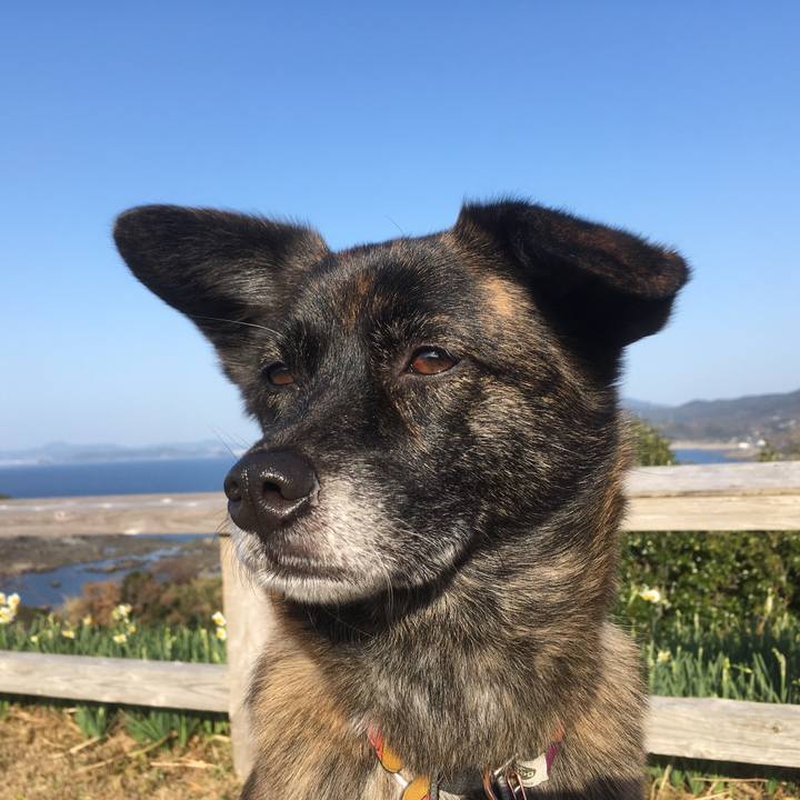 230cdd18 076b 4c1e 80dc fe883e4e3b38 1515411746716