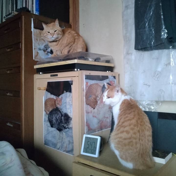 230ce205 4632 4aa0 8519 851a18991cee 1742763294291