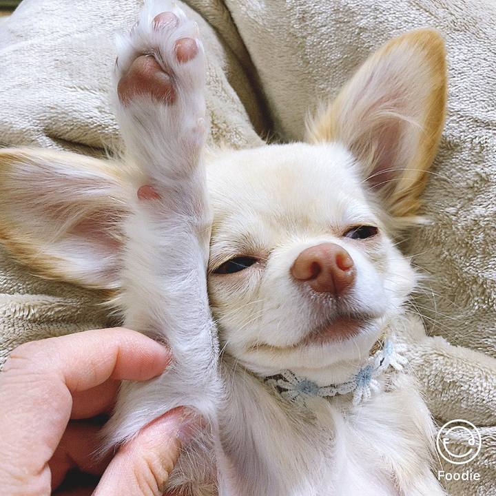 230cf079 8a77 4589 b88e 33a7bcb0c1e3 1608339491427