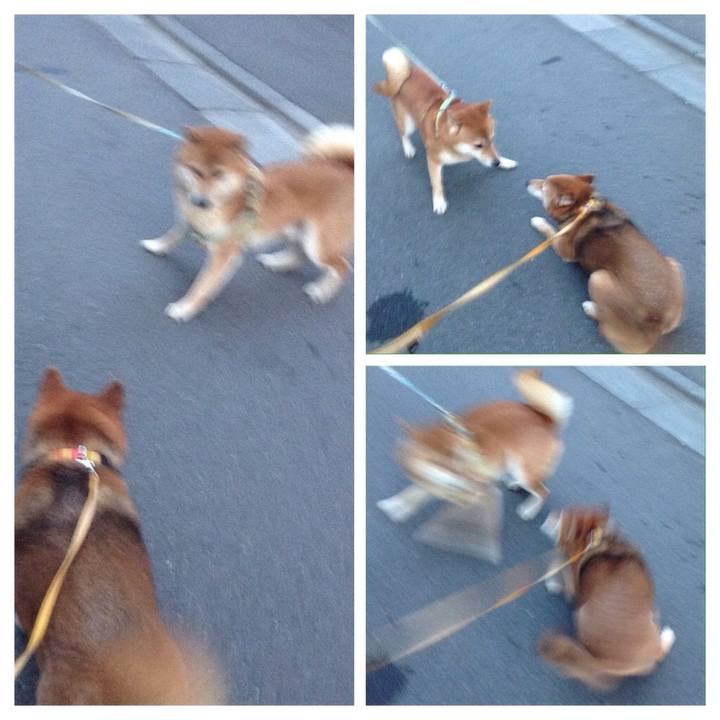 230cfb1f 05f2 44e8 86d7 11ff3b39ef04 1518165585361