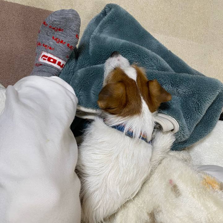 230d17a3 4014 46f7 a9eb e8ab08995e2a 1739544675143