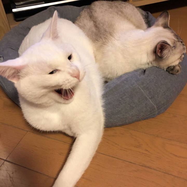 230d230d ee34 42a2 b801 20c9251d9dcf 1507994805915